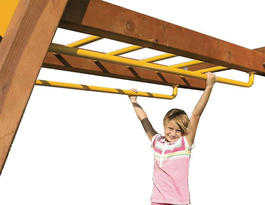 Dual Shimmy Bars (183)