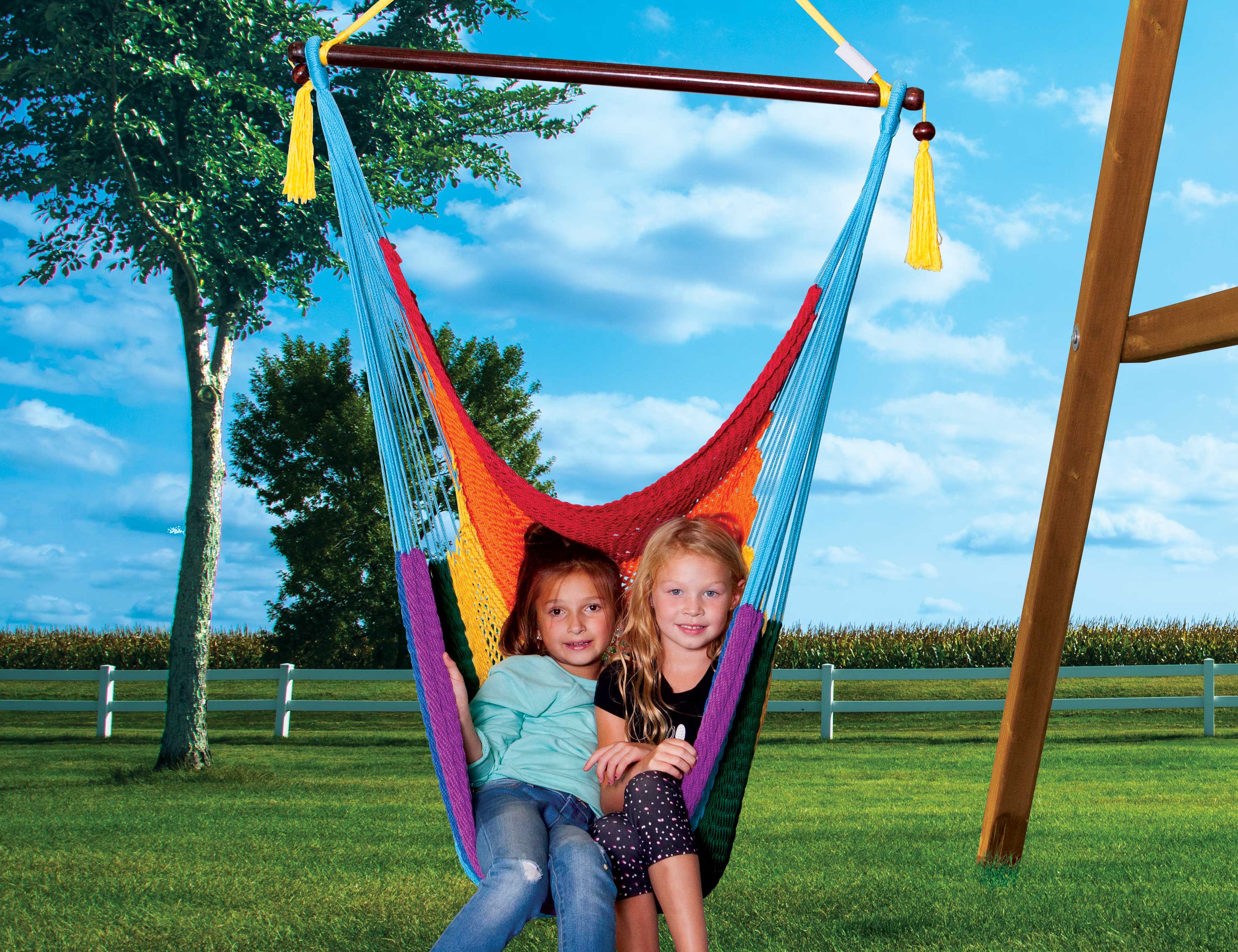 Hammock Swing (129)