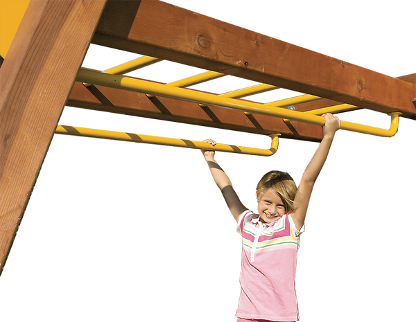 Dual Shimmy Bars (183)